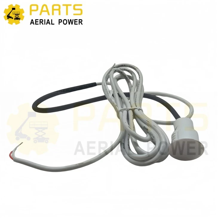 Door Magnetic Switch 00006225 For Dingli best