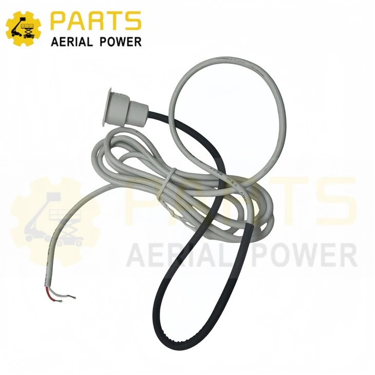 Door Magnetic Switch 00006225 For Dingli