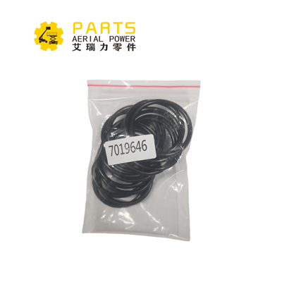 7019646 JLG O-ring,Kit Of 15 Pcs Of 3780165